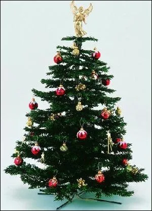 Qui n'a pas jou dans ce film ?