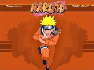 Qui est le personnage principal de Naruto ?