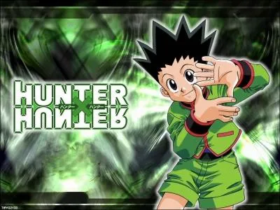 Qui est le personnage principal de Hunter x Hunter ?