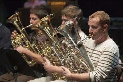 Les saxhorn baryton et tuba sont tous deux des instruments de la famille des ?