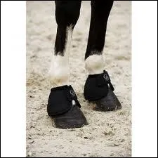 Quelles sont ces protections ?