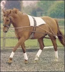 Comment appelle-t-on cet enrnement ?