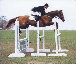 Quel est cet obstacle ?