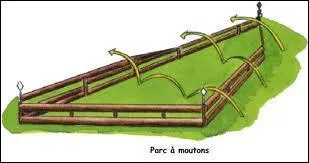 Lequel est un vrai saut d'obstacle pour le cross ?