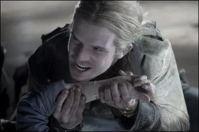 Qui veut tuer Bella ?