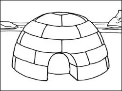 O habitent les penguins ?