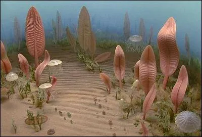 La fonte des glaces libre  nouveau l'oxygne, mais est-ce que la vie qui s'tait lgrement dveloppe avant la glaciation a survcu ?