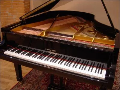 Le piano  queue et piano droit font tous deux parties des instruments  cordes ?