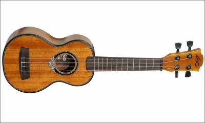 Le banjo et le ukull font tous deux partie des instruments  cordes ?