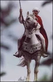 Quelle est la race de ce cheval ?