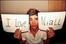 Quel est le plat prfr de Niall ?