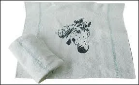 Quel est cet accessoire ?