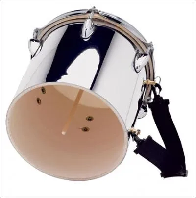 La cuica est un instrument qui fait partie de la famille des ?