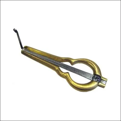 La guimbarbe est un instrument qui fait partie de la famille des ?