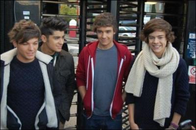 Avec quel membre du groupe sortirait-il s'il tait une fille ?