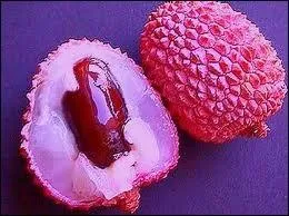 Ce fruit est une petite sphre, parfois un peu en forme de cur, entoure d'une enveloppe coriace d'aspect cailleux qui prend une couleur rose  rouge  maturit.