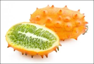 Appel aussi concombre cornu d'Afrique, est un fruit ovode, et recouvert de cornes pointues. Il possde une pulpe verte translucide et trs juteuse.