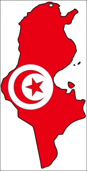Capitale : Tunis. Superficie : 163 610 km. tat : Rpublique provisoire