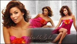 Qui est Gabrielle Solis ?