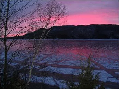 Maintenons montons  bord d'un magnifique bateau en acajou pour faire le tour du lac Massawippi, quel poisson pchait-on dans ce dernier ?