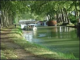 Combien d'ouvrages d'art trouve-t-on sur les 360 kilomtres navigables du canal du Midi qui relie la Garonne  la mer Mditerrane ?