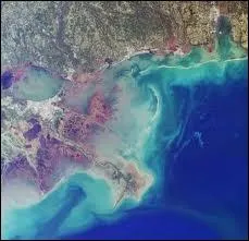 Dans quel ocan se jette le Mississippi ?