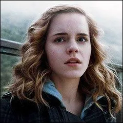 Comment Malfoy traite-t-il Hermione ?