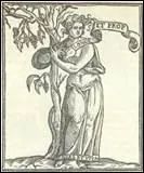 Quel pouvoir possde Gras, l'oppose de Hb ?