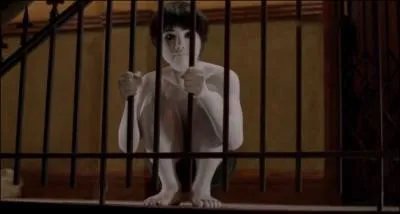 Quel est ce film d'horreurs o il y a un fantme et sa mre qui tuent des gens ?