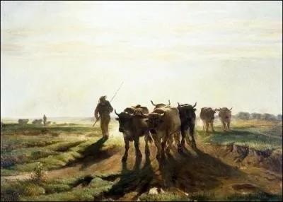 - conduisait un (... ) magnifique :