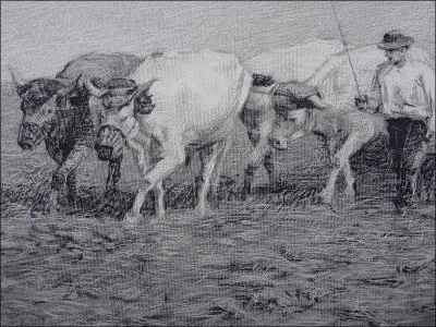 - ce travail nerveux et saccadé qui s'irrite encore du (... )