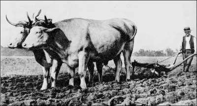 - (... ) la domination nouvellement imposée. 
Remplacez les pointillés.