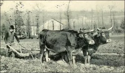- en silence, avec des (... ) inutiles. 
Remplacez les pointillés.