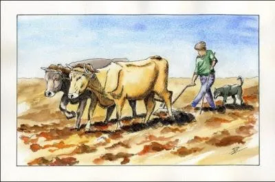 - son (... ) était aussi vite creusé que celui de son fils,