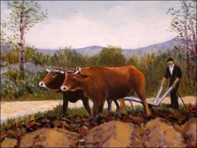 Complétez : Mais (... ) qui attira ensuite mon attention