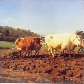 - était (... ) un beau spectacle,