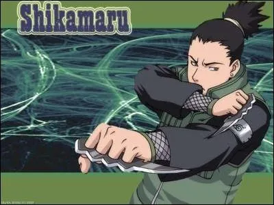 Quel nom Shikamaru porte-t-il ?