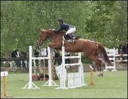 Quel est cet obstacle ?