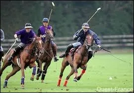 Quelle est cette discipline ?