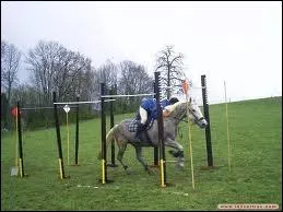 Quelle est cette discipline ?