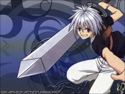 Qui est le personnage principal de ''Rave Master'' ?