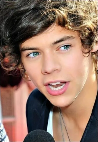 Avec qui Harry Styles est-il sorti pendant l'aventure  X-Factor  ?