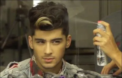 Le prnom  Zayn  (Zain) signifie...