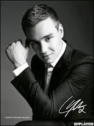 Quelle chanson Liam a-t-il chante quand il s'est prsent   X-Factor  ?