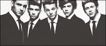 Les One Direction vont partir en tourne... Comment s'appelle cette tourne ?