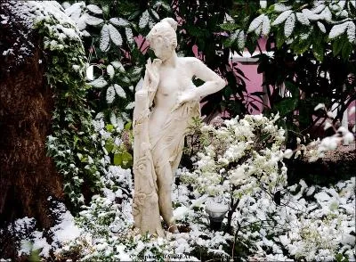 Au (... ) o, court-vtue, Vnus coudoyait Phocion,