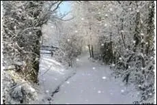 Il fait envoler de sa nuque La neige qui (... ) poudre  blanc.