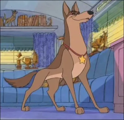 Les 101 dalmatiens 2 - Quel est le chiot qui devient le compagnon d'Ouragan ?