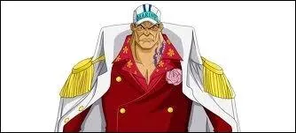 Quel fruit Akainu a-t-il mang ?