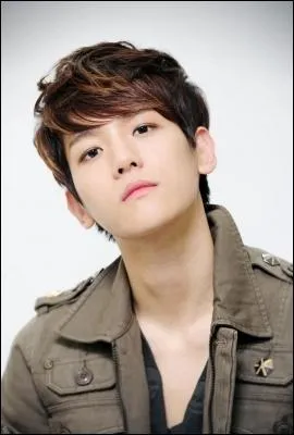 BaekHyun est le chanteur principal de :